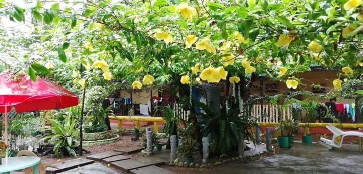 Ennas Place Coron Exterior photo